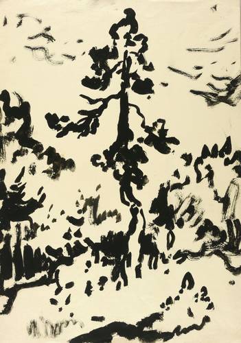 Wolfgang, Alexander -  -  - Einsame Föhre