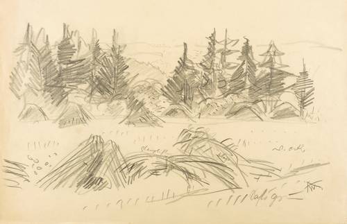 Wolfgang, Alexander -  -  - Thüringer Landschaft (III)