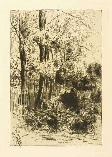 Heins, Armand -  -  - Am Gartenzaun