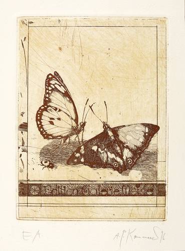 Kammerer, Anton Paul -  -  - Schmetterlinge