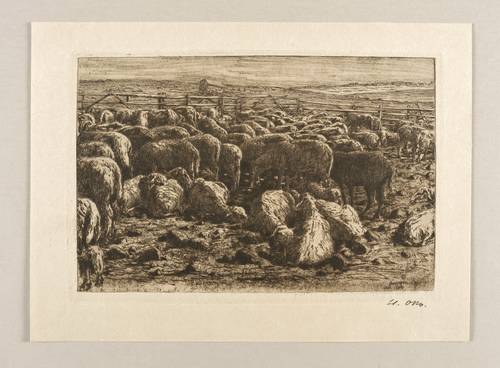 Otto, Heinrich -  -  - Schafe im Pferch