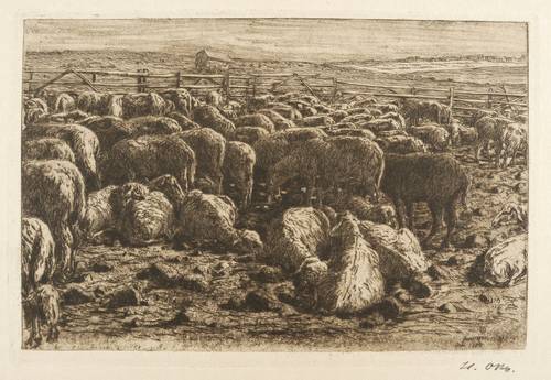 Otto, Heinrich -  -  - Schafe im Pferch