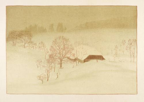 Biese, Karl -  -  - Winternebel