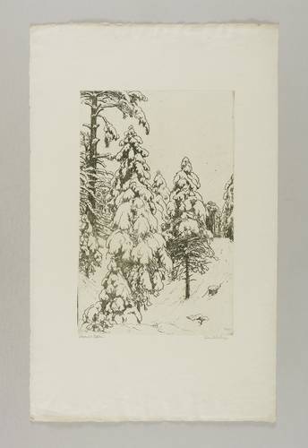 Steiniger, Ferdinand -  -  - Verschneite Fichten