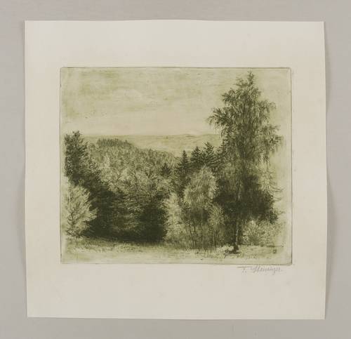 Steiniger, Ferdinand -  -  - Landschaft (Bewaldete Klinge)