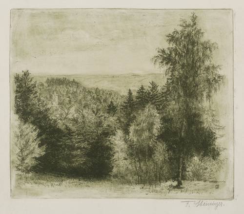 Steiniger, Ferdinand -  -  - Landschaft (Bewaldete Klinge)