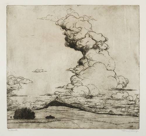 Steiniger, Ferdinand -  -  - Gewitterwolke