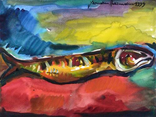 Naumann, Hermann -  -  - Makrele