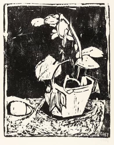 Niemeyer-Holstein, Otto -  -  - Alpenveilchen