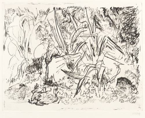 Niemeyer-Holstein, Otto -  -  - Im Teich sich spiegelnder Baum (Lüttenort)