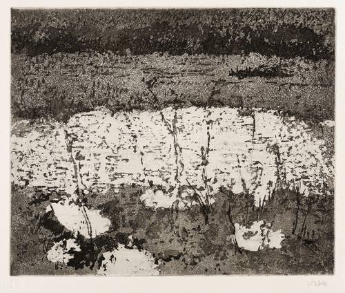 Niemeyer-Holstein, Otto -  -  - Überschwemmte Wiesen II