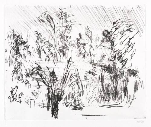 Niemeyer-Holstein, Otto -  -  - Lüttenorter Garten