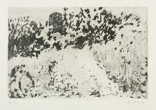 Niemeyer-Holstein, Otto -  -  - Deich und Bäume