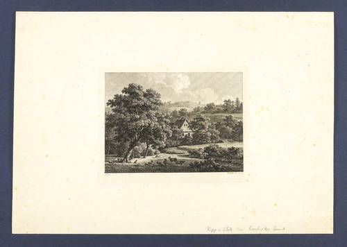 Veith, Johann Philipp -  -  - Grundstraße im Loschwitzgrund