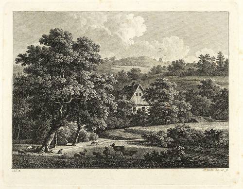 Veith, Johann Philipp -  -  - Grundstraße im Loschwitzgrund