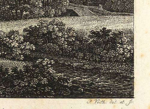 Veith, Johann Philipp -  -  - Grundstraße im Loschwitzgrund