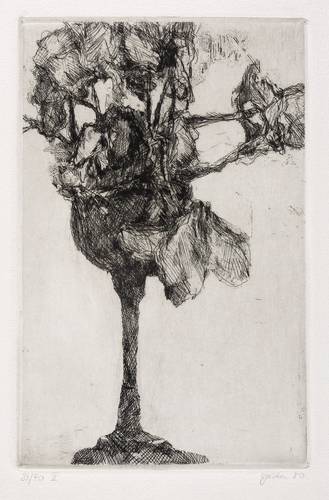 Perthen, Christine -  -  - Alpenveilchen im Glas