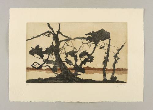 Perthen, Christine -  -  - Im Gegenlicht