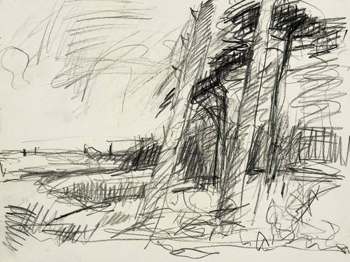 Peschel, Uwe -  -  - Kiefernwäldchen