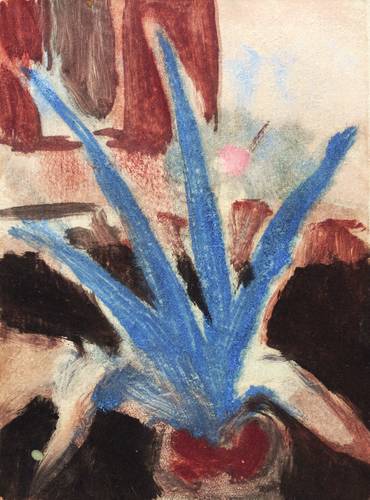 Pukall, Egon -  -  - Agave