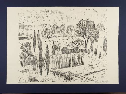 Rudolph, Wilhelm -  -  - Pappeln an der Elbe (Elbauen bei Pillnitz)