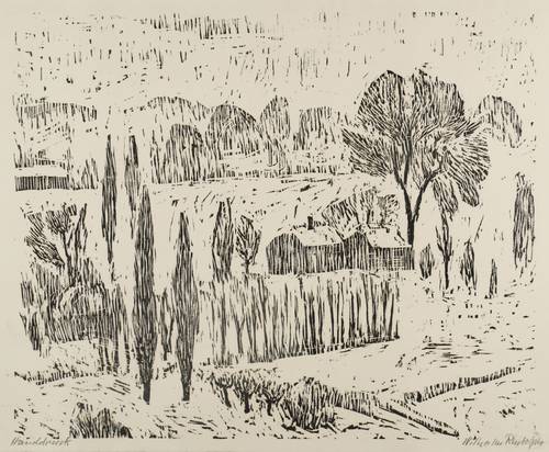 Rudolph, Wilhelm -  -  - Pappeln an der Elbe (Elbauen bei Pillnitz)