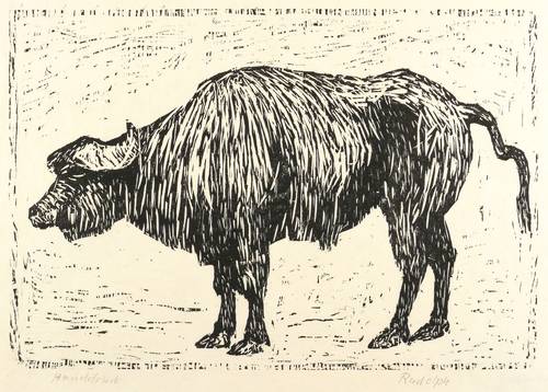 Rudolph, Wilhelm -  -  - Wasserbüffel II