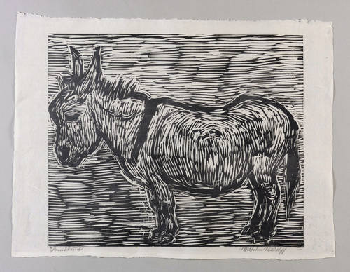 Rudolph, Wilhelm -  -  - Esel
