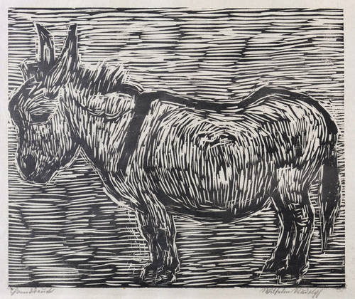 Rudolph, Wilhelm -  -  - Esel