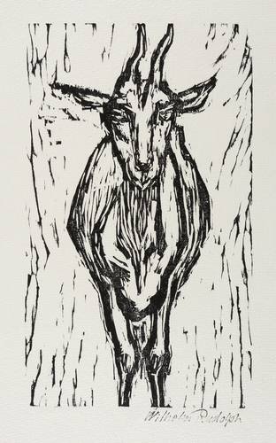 Rudolph, Wilhelm -  -  - Stehende Ziege