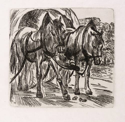 Rudolph, Wilhelm -  -  - Pferdewagen