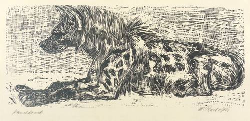 Rudolph, Wilhelm -  -  - Liegende Hyäne