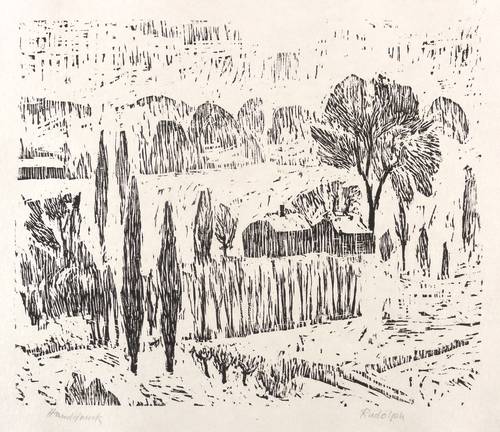 Rudolph, Wilhelm -  -  - Pappeln an der Elbe (Elbauen bei Pillnitz)