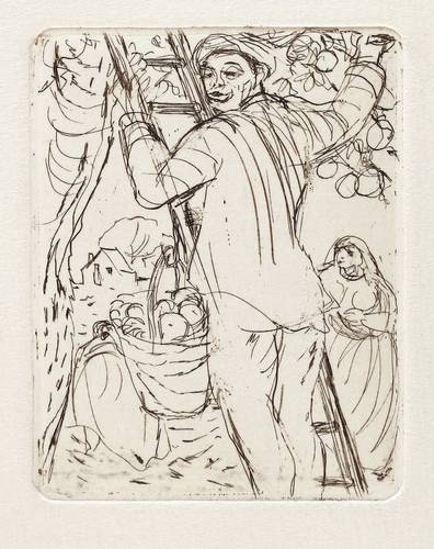 Schwimmer, Max -  -  - Obsternte