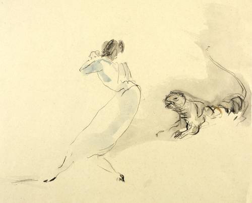 Schwimmer, Max -  -  - Das Mädchen und der Tiger