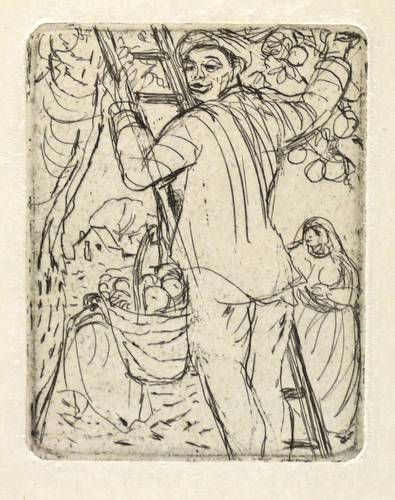 Schwimmer, Max -  -  - Obsternte