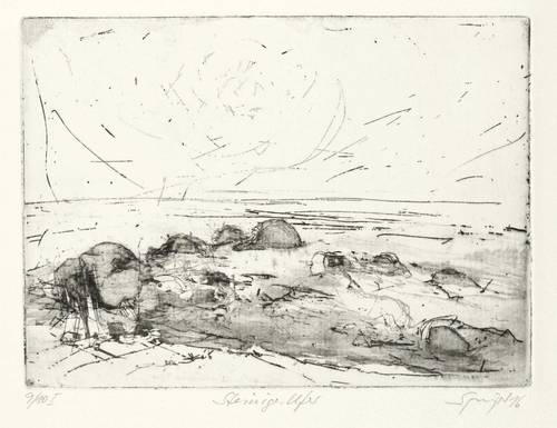 Springer, Reinhard -  -  - Steiniges Ufer