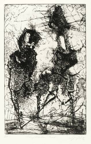 Springer, Reinhard -  -  - Ungleiches Paar