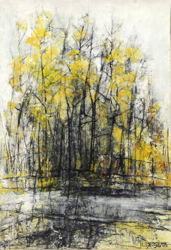 Springer, Reinhard -  -  - Im Gebergrund 11