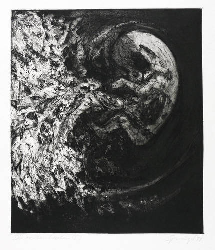 Springer, Reinhard -  -  - Die ersten Wochen (I)