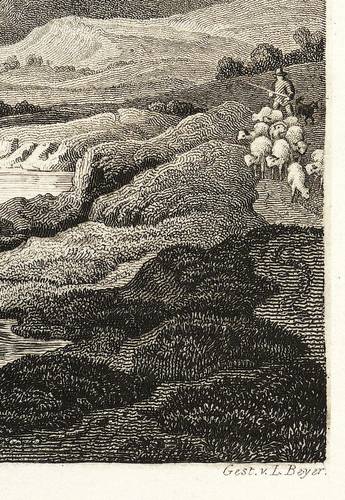 Münchehof (Seesen) - Gesamtansicht mit Burgruine Stauffenburg - Gesamtansicht mit Burgruine Stauffenburg - Die Staufenburg