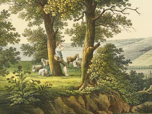 Rudolstadt - Gesamtansicht - Gesamtansicht - Residenz Rudolstadt