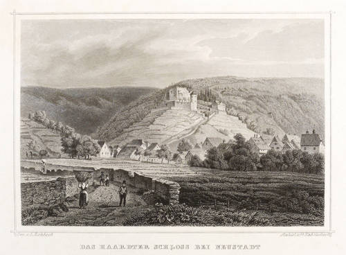 Haardt (Neustadt an der Weinstraße) - Teilansicht mit Burg Winzingen - Teilansicht mit Burg Winzingen - Das Haardter Schloss bei Neustadt