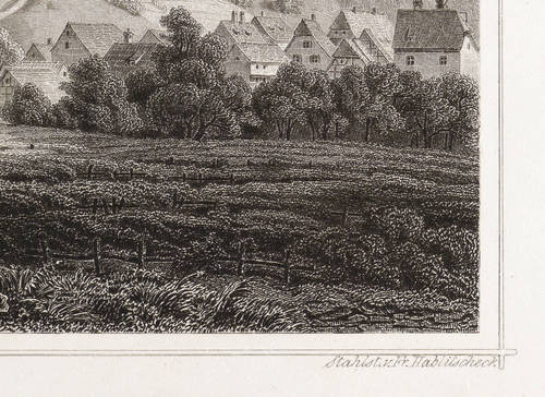 Haardt (Neustadt an der Weinstraße) - Teilansicht mit Burg Winzingen - Teilansicht mit Burg Winzingen - Das Haardter Schloss bei Neustadt