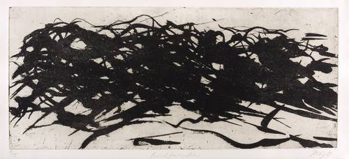 Uhlig, Max -  -  - Buschformation