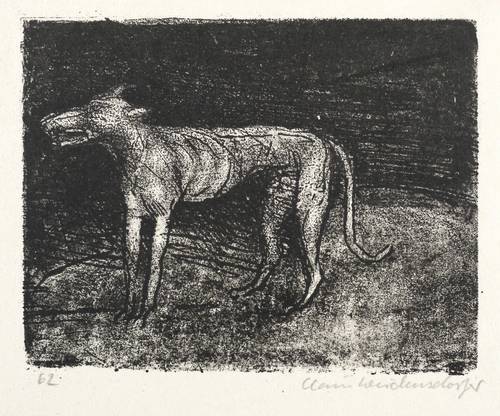 Weidensdorfer, Claus -  -  - Windhund