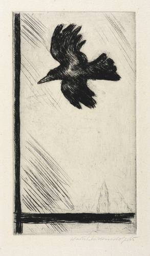 Weidensdorfer, Claus -  -  - Krähe