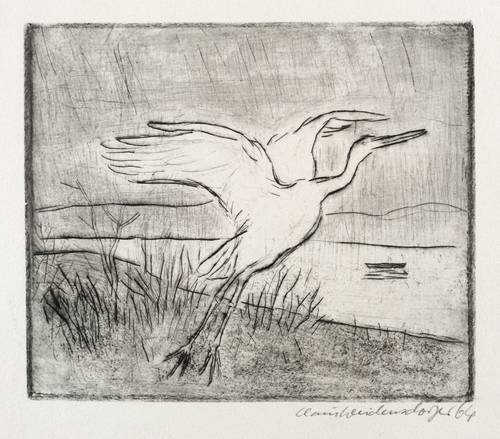 Weidensdorfer, Claus -  -  - Auffliegender Storch