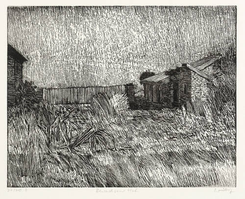 Wittig, Werner -  -  - Bewachsener Hof