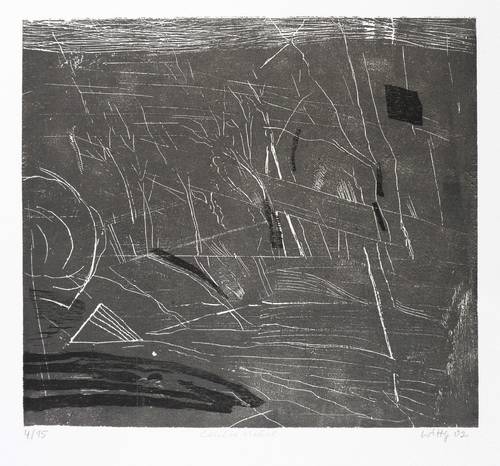 Wittig, Werner -  -  - Leichte Nebel